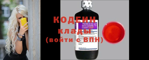 прущие грибы Арсеньев