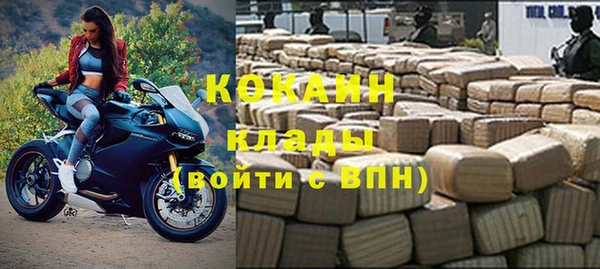 гашик Аркадак