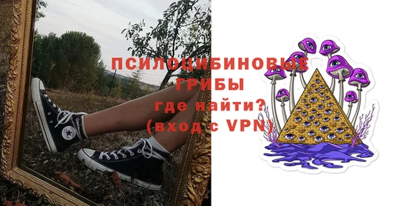 прущие грибы Арсеньев