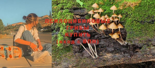 прущие грибы Арсеньев