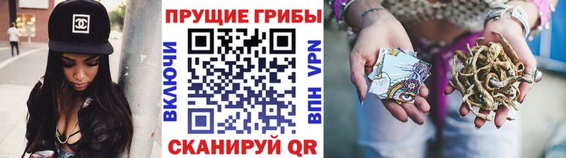 Псилоцибиновые грибы Magic Shrooms  Рыбное 